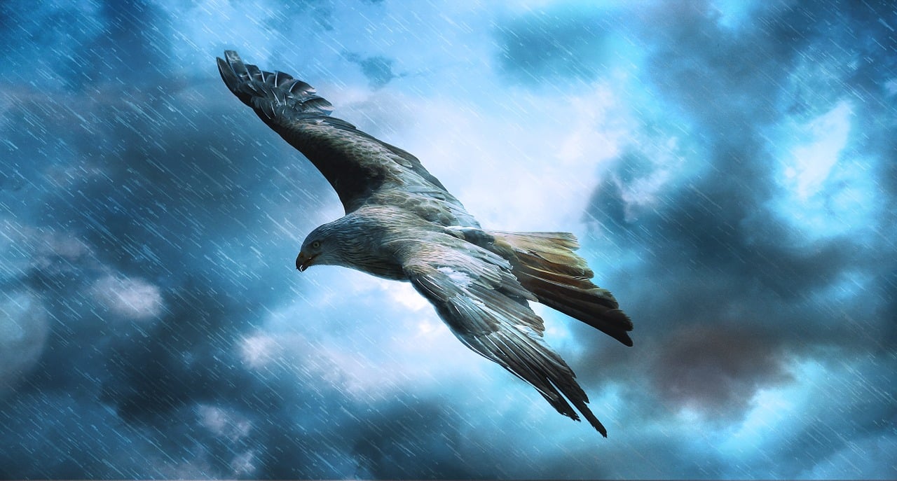 俄罗斯航空：从历史传奇到现代服务，体验便捷飞行的独特魅力