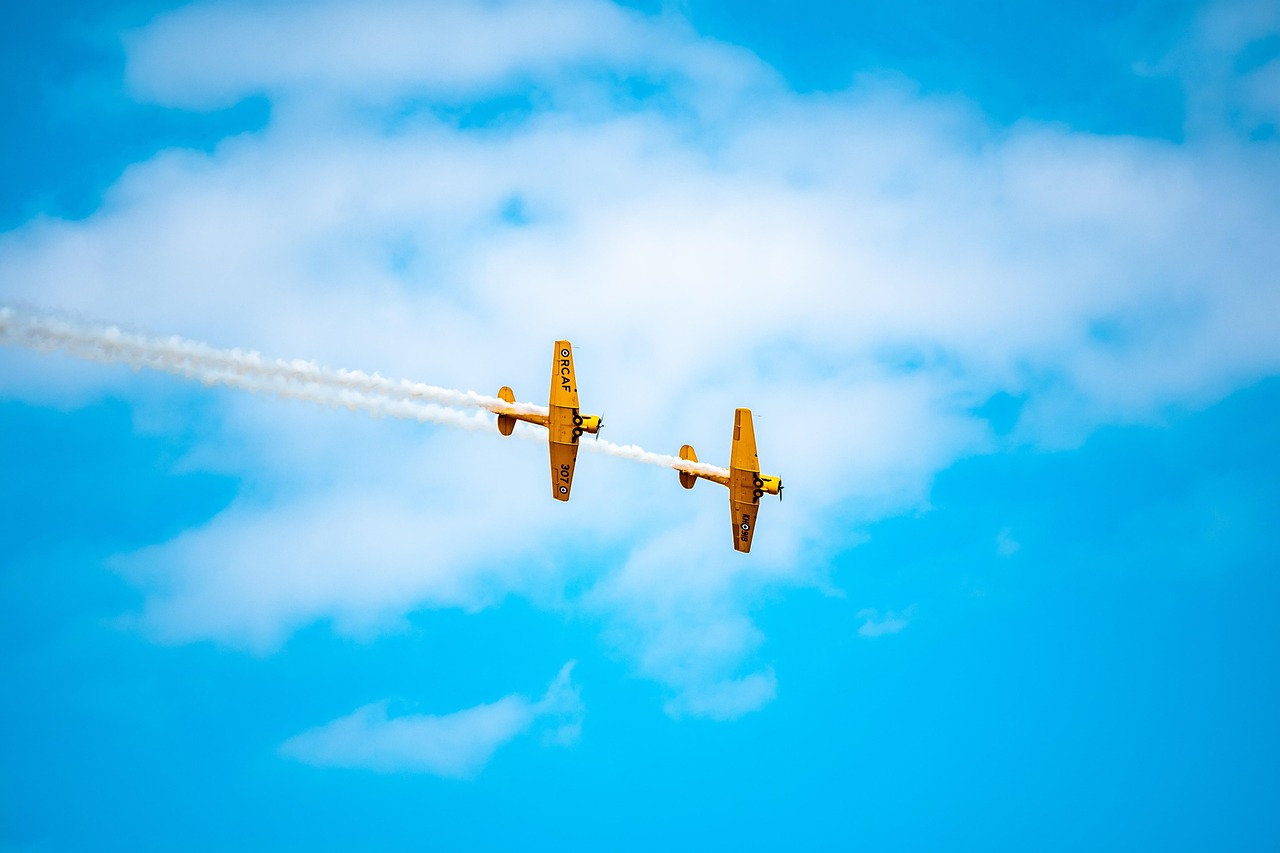 上海市航空服务学校：报考指南与就业前景解析，助你轻松实现航空梦想