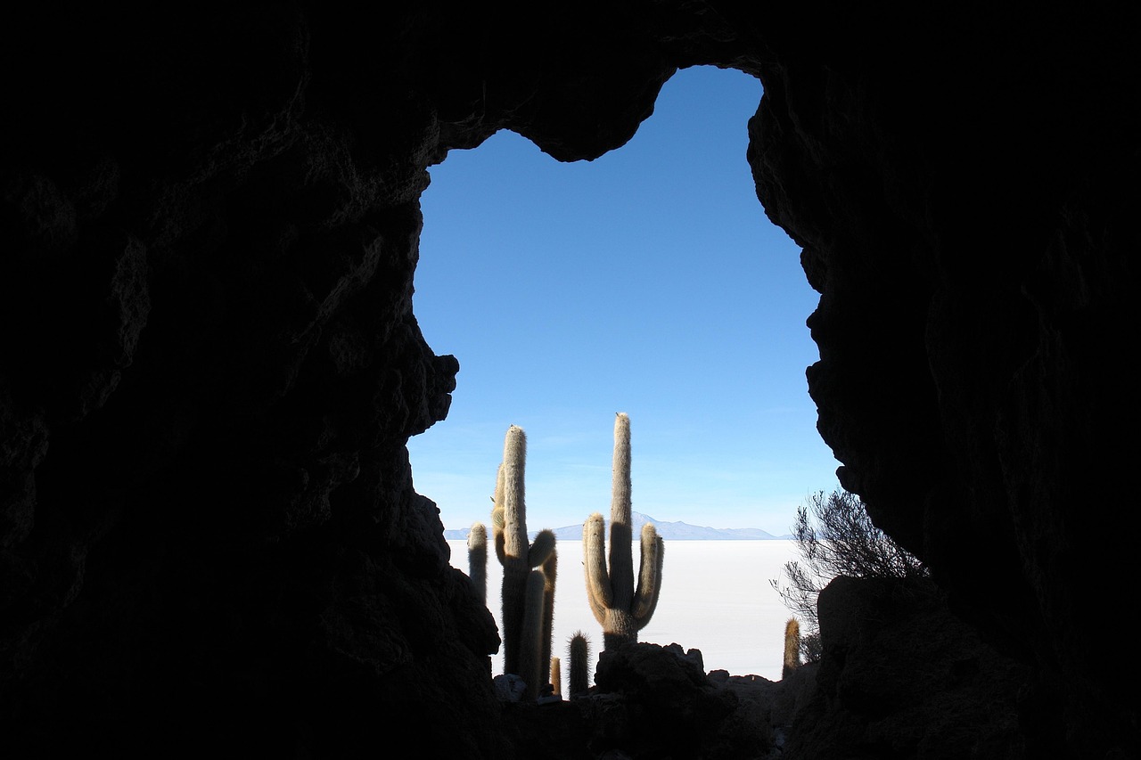 乐山旅游攻略：轻松玩转大佛峨眉山，解锁深度体验与避坑指南
