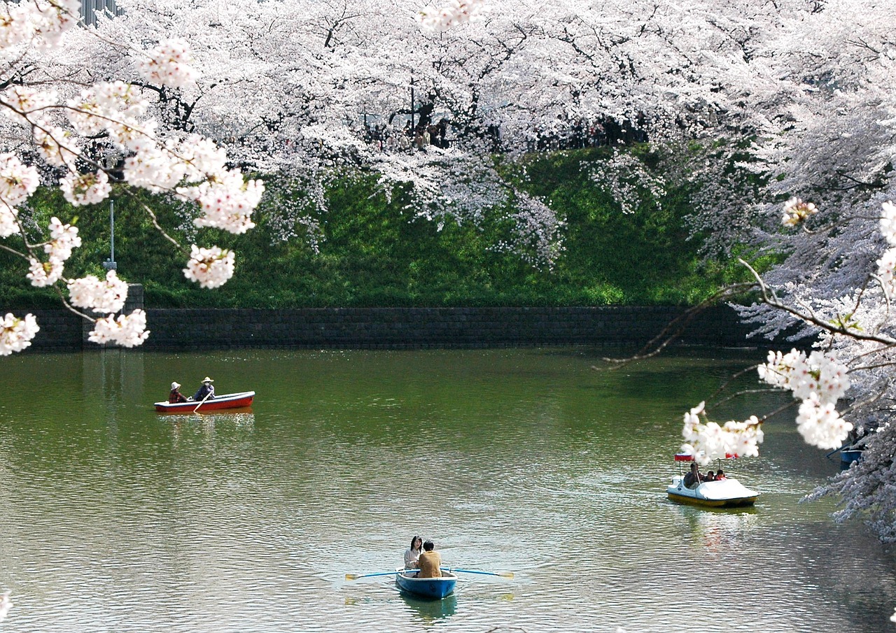 日本签证全攻略：轻松办理，开启温泉樱花之旅