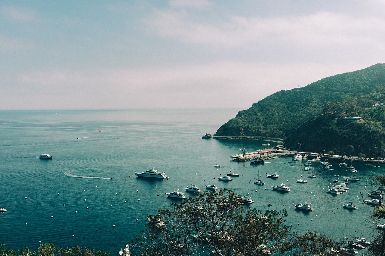 重庆万州：长江经济带黄金枢纽的现代化转型与宜居生活指南