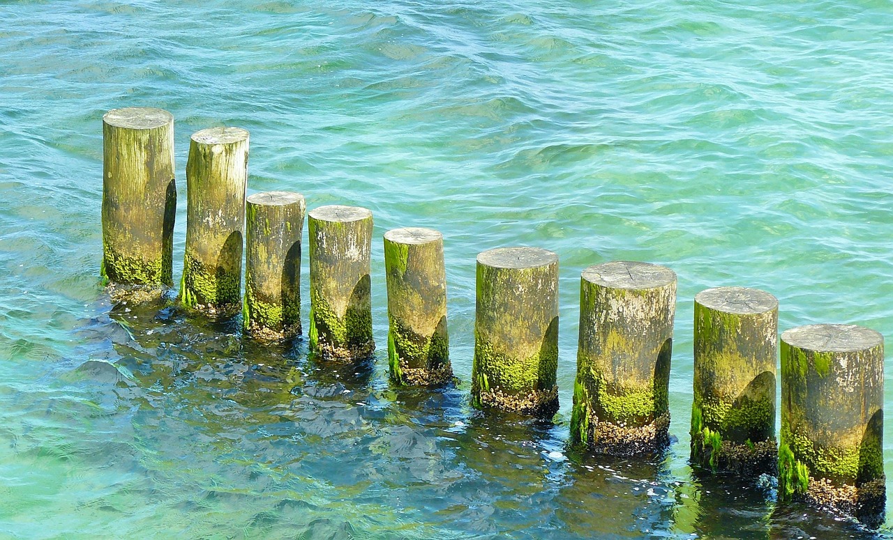 海水为什么是蓝色的？揭秘海洋颜色成因与生态意义，带你轻松看懂海的颜色奥秘