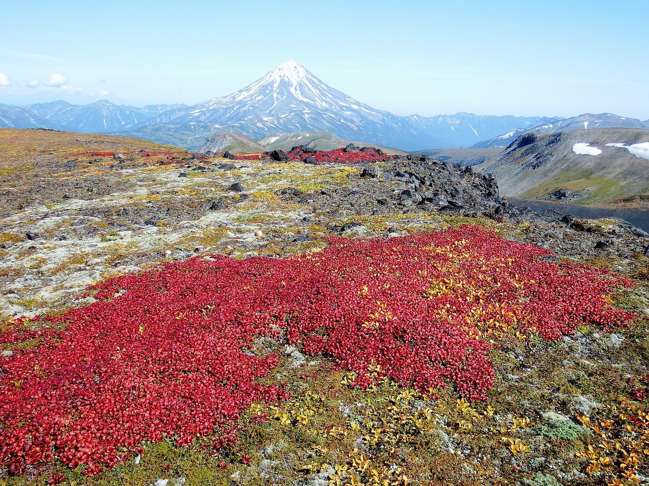 薰衣草庄园旅游全攻略：最佳观赏季节、拍照技巧与特色体验，带你轻松玩转紫色花海