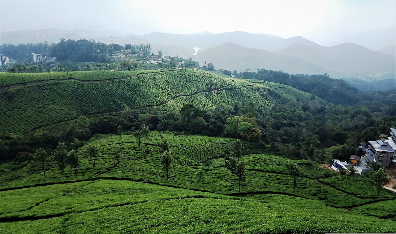 呼和浩特旅游攻略:探索草原之都的必去景点与美食体验