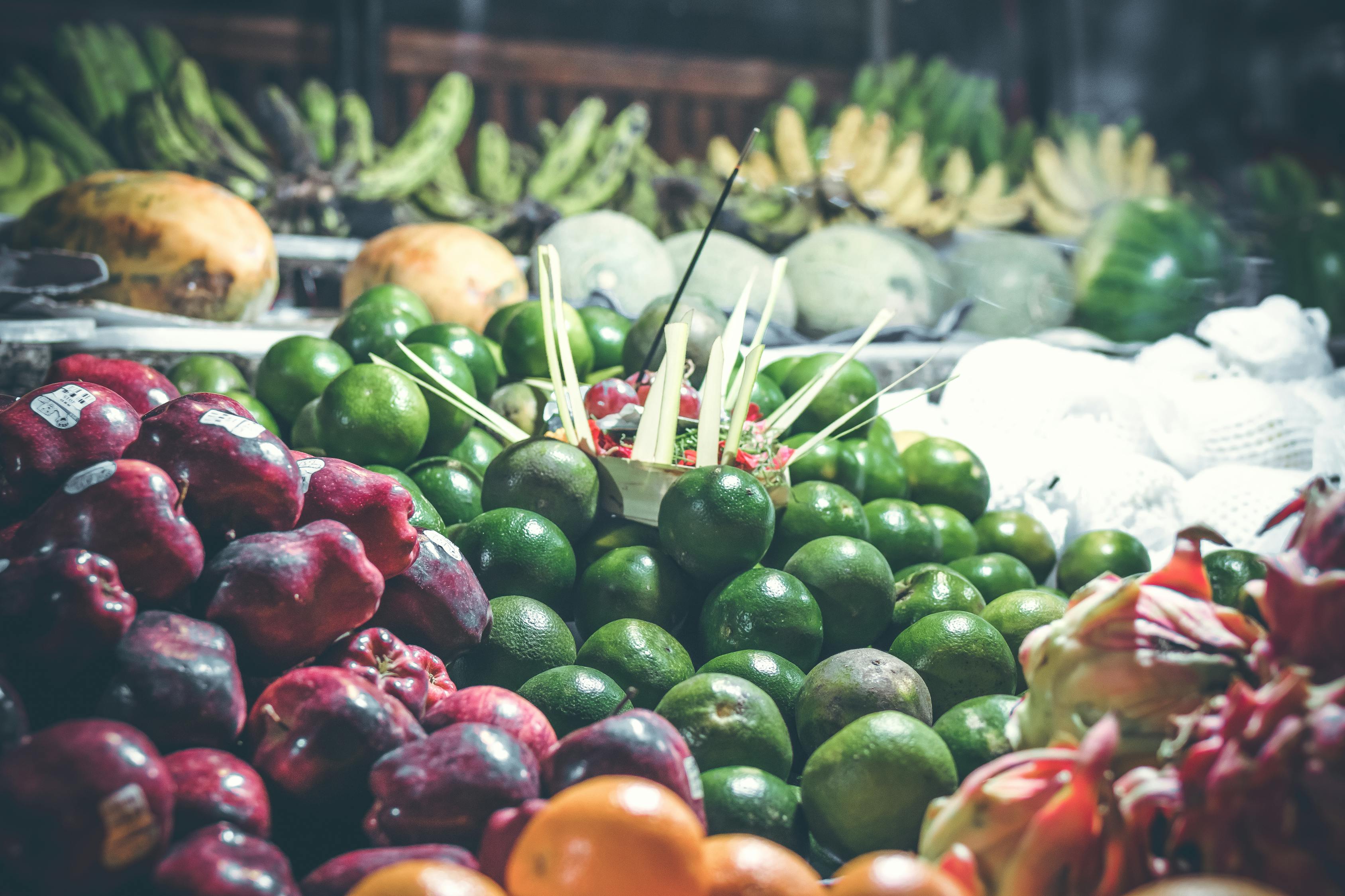 华南热带农业大学:我的热带农业求学之旅,从迷茫到坚定的成长故事