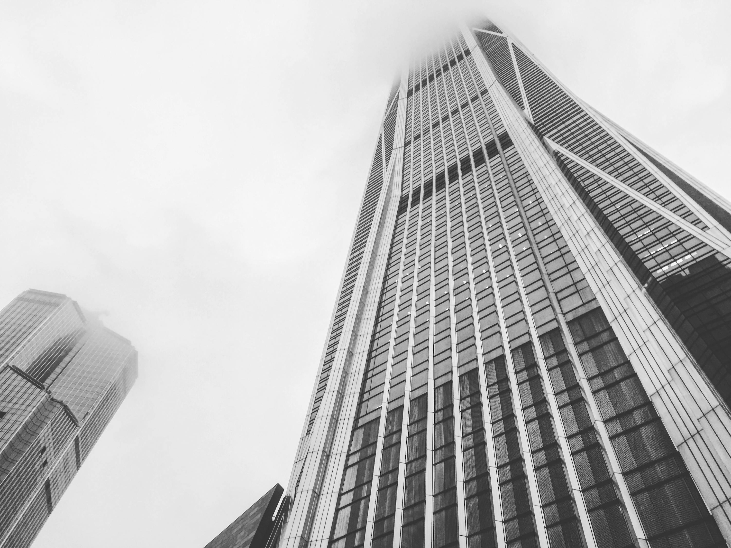 深圳红树湾:生态宜居湾区生活指南,享受自然与繁华的完美平衡