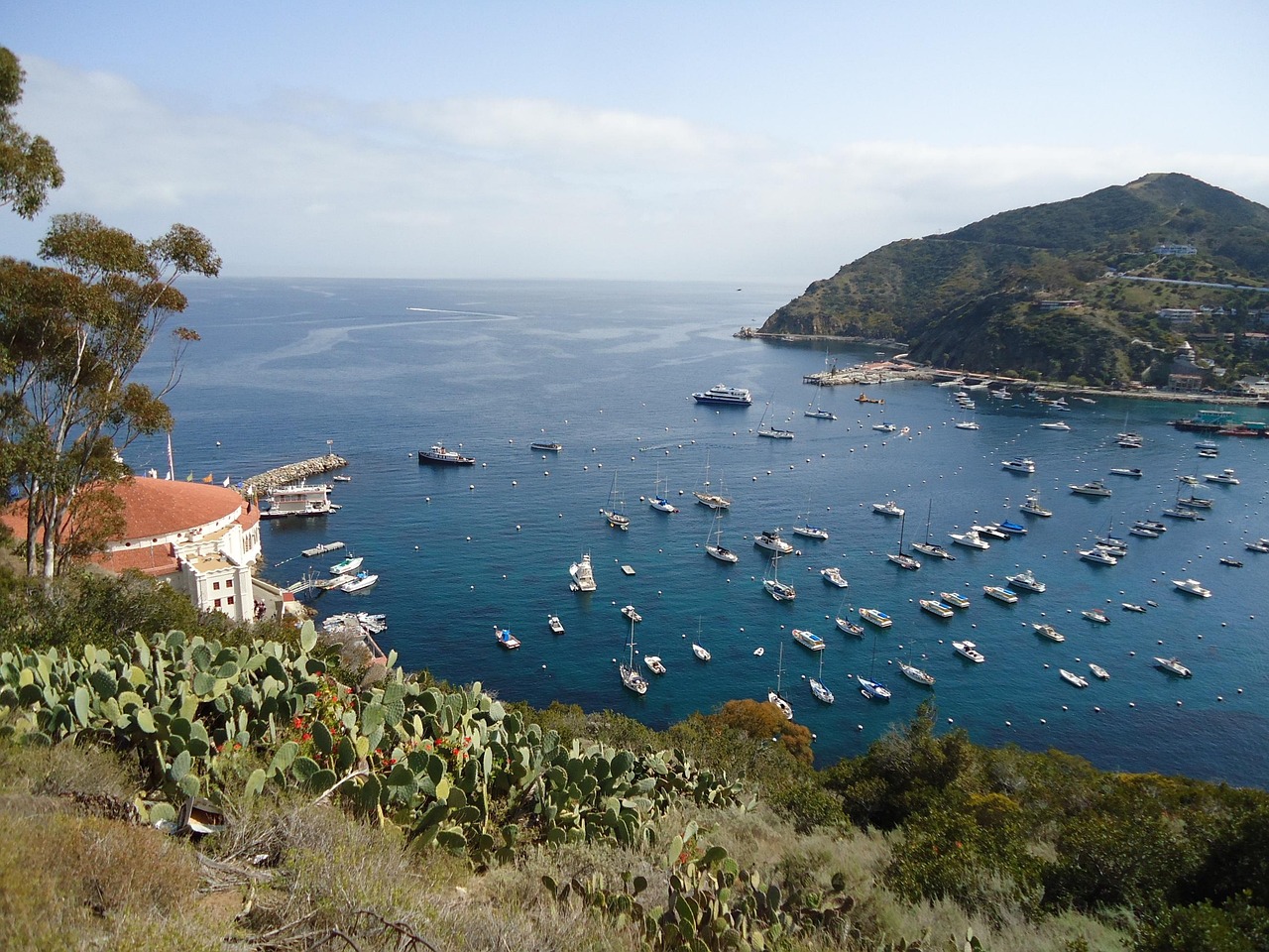 南京是哪个省的?快速了解南京行政归属与城市魅力