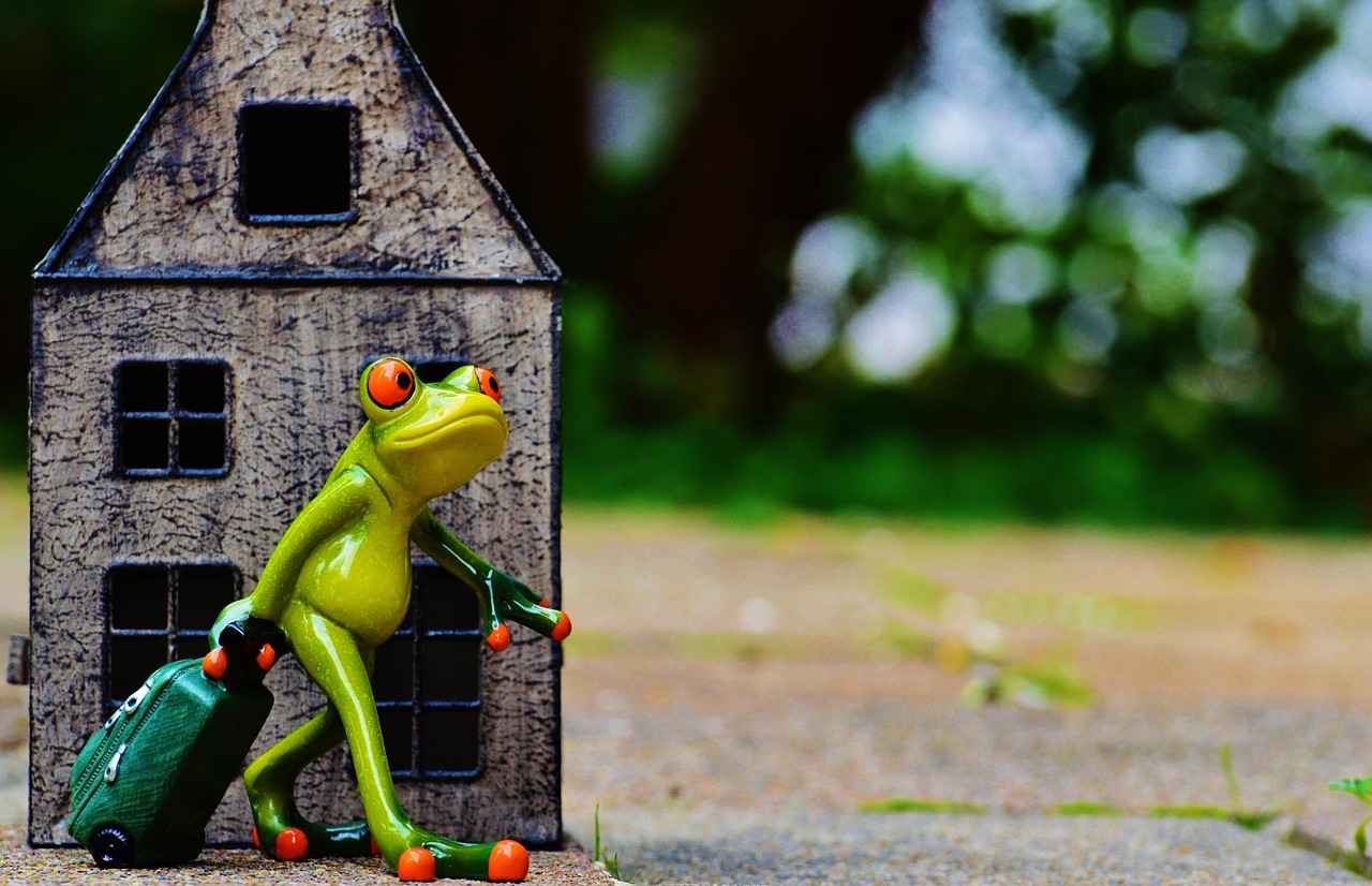 北京周边游攻略:解锁周末轻松度假的快乐玩法,告别长途奔波烦恼