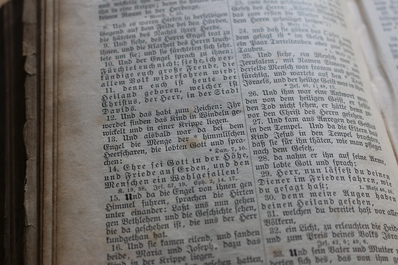 山东烟台大学：从录取分数线到就业前景，全面解析报考指南与校园生活