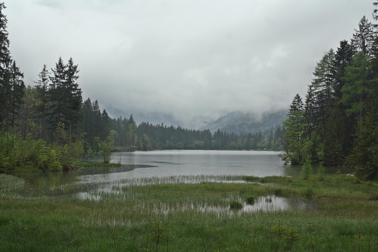 杭州花圃免费游玩全攻略：四季赏花避暑摄影路线，解决你的出行烦恼