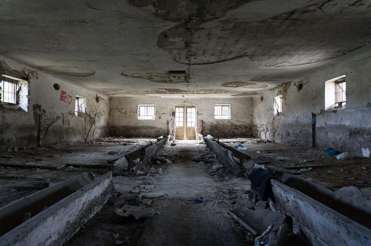 金面王朝:揭秘古代神秘王朝的兴衰历程与文化遗产