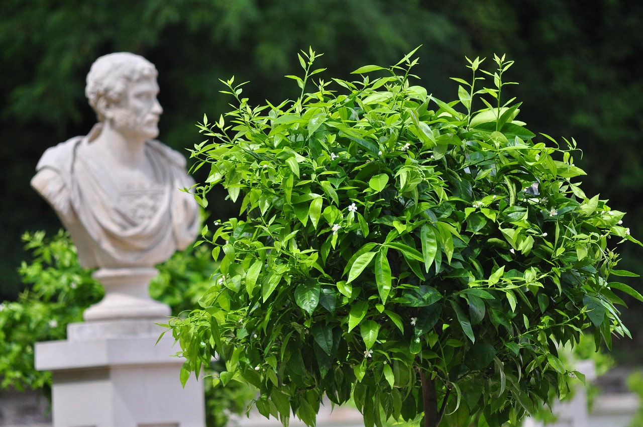 曲径通幽:园林与诗词中的东方美学智慧,带你发现慢生活的诗意与惊喜