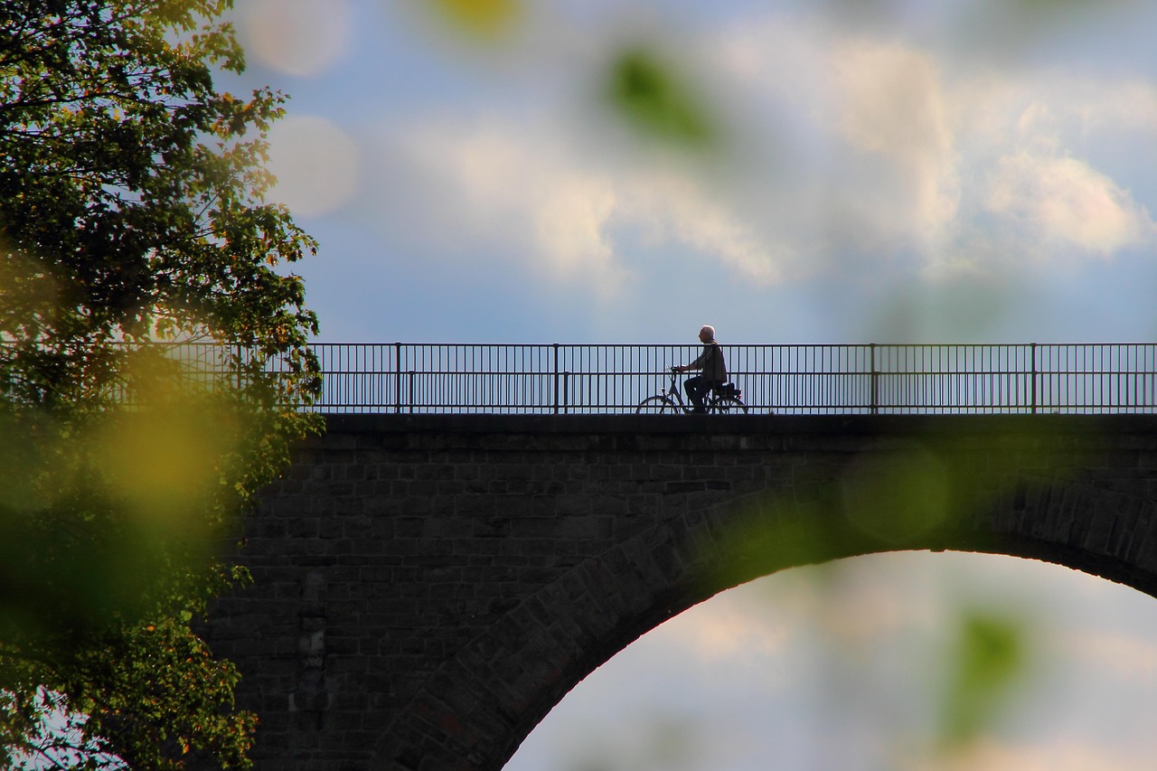 深圳中心公园游玩全攻略:交通、景点、美食一站式解决你的周末出行烦恼