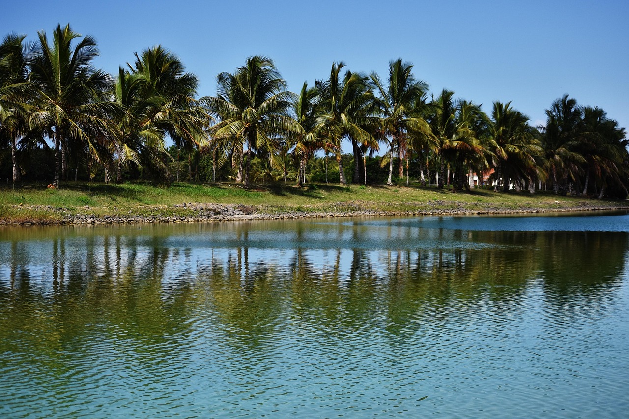 扬州景点全攻略:瘦西湖、何园、个园等必游景点游玩指南,轻松规划完美行程