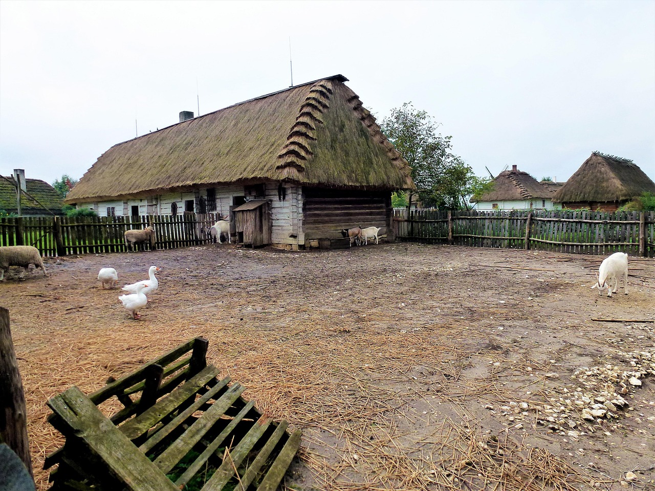 安徽凤阳小岗村：从18个手印到乡村振兴，揭秘中国农村改革第一村的传奇历程