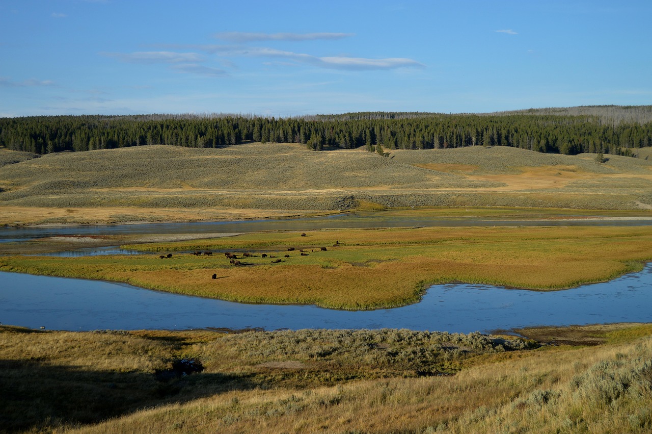 美国黄石公园旅游攻略：最佳季节、安全贴士与必游景点全解析